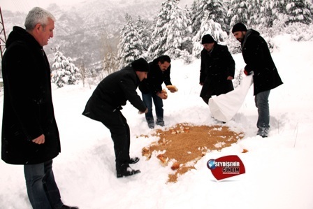 Seydişehir’de hayvanlar için doğaya yem bırakıldı