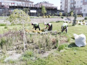 BAŞKAN TUTAL," YEŞİL ALAN VE PARKLARDA ÇALIŞMALARIMIZ HIZ KAZANDI"