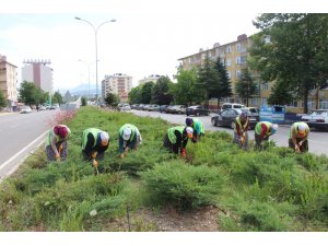 KAVŞAK VE REFÜJLER RENKLENİYOR