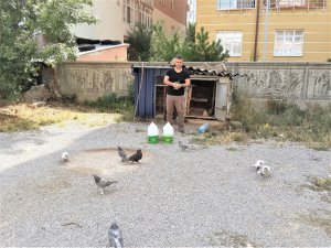 Mardin güvercin ırkını Seydişehir’de yetiştiriyor