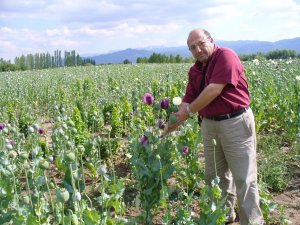 Ziraat odasında haşhaş ekimi toplantısı