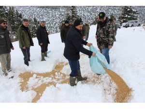 MADENLİ YAYLASINDA KUŞLAR VE YABAN HAYVANLARINA YEM BIRAKILDI