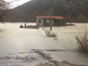 Şiddetli yağmur yağdı, evleri su bastı