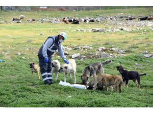 KONYA BÜYÜKŞEHİR’DEN DÜNYAYA ÖRNEK PROJE