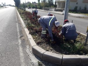 ÇEVRE TEMİZLİĞİNE ÖNEM GÖSTERİYORUZ