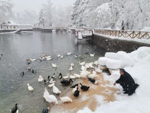 SOKAK HAYVANLARI UNUTULMUYOR