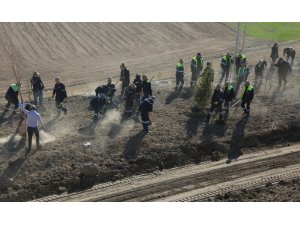 KONYA ŞEKER’DEN BÜYÜK ÇEVRE DÖNÜŞÜMÜ, ATIK TOPLAMA ALANI AĞAÇLANDIRILIYOR