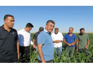 Hasan Ekici’ye Dert Yanan Çiftçiler: Zarar Ediyoruz, Batacağız
