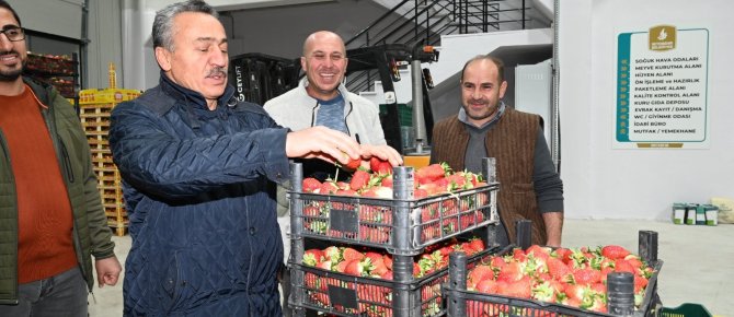 Soğuk hava deposundan ilk ürünler yurt dışına sevk edildi