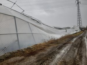 BAŞKAN TUTAL RÜZGARDAN SERASI ZARAR GÖREN ÜRETİCİYE DESTEK