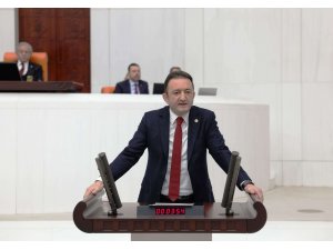 Bektaş, süt üreticilerinin sorunlarını mecliste konuştu