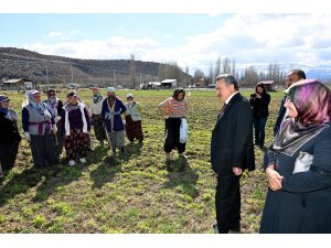 BAŞKAN TUTAL'IN 8 MART DÜNYA KADINLAR GÜNÜ MESAJI