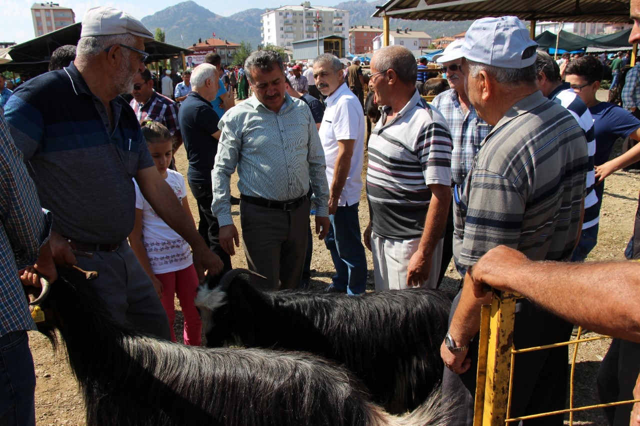 BAŞKAN TUTAL, KURBAN PAZARINDA ESNAFLARA HAYIRLI KAZANÇLAR DİLED