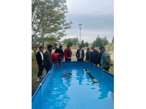 Seydişehir gençliğinin ihtiyaçları ve beklentileri değerlendirildi...