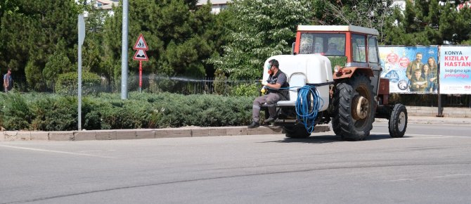 Seydişehir belediyesinden kene ve zararlı haşerelere karşı ilaçlama