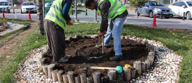 SEYDİŞEHİR BELEDİYESİ LALE , SÜMBÜL VE NERGİS SOĞAN EKİMİ YAPTI