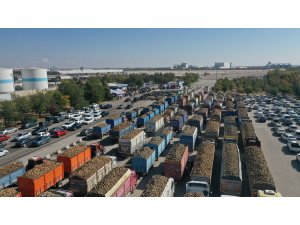 KONYA VE ÇUMRA ŞEKER'DE KAMPANYA DÖNEMİ BAŞLADI