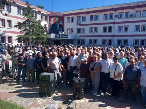 chp-ilce-orgutunden-2.jpg