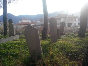 cigdem-2.jpg