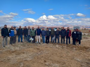 Anahtar Parti Seydişehir İlçe Teşkilatından Ağaç Dikme Programı