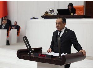 Milletvekili Koçak: