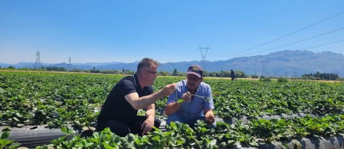 SEYDİŞEHİR ÇİLEĞİ TESCİLLENDİ