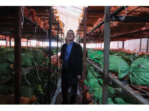 RÜZGARDAN SERASI ZARAR GÖREN ÜRETİCİYE BAŞKAN USTAOĞLU’NDAN ZİYARET