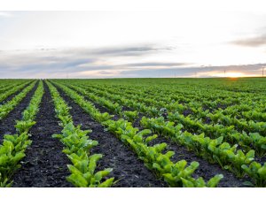 BAŞKAN ERKOYUNCU, KONYA OVASI’NIN ALDIĞI YAĞIŞI DEĞERLENDİRDİ