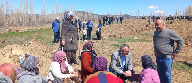 KIZILCA MAHALLESİ’NDE 4. GELENEKSEL AĞAÇ DİKME BAYRAMI DÜZENLENDİ...