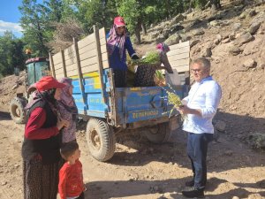 BAŞKAN HASAN USTAOĞLU'NDAN YAYLACIK MAHALLESİ'NE ZİYARET
