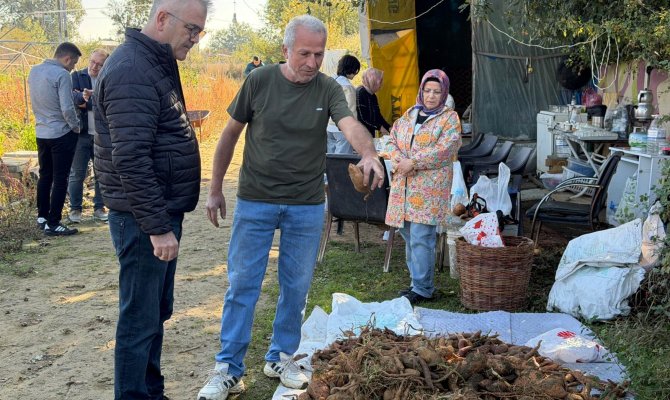 SEYDİŞEHİR’DE İLK KEZ TATLI PATATES ÜRETİMİ YAPILDI