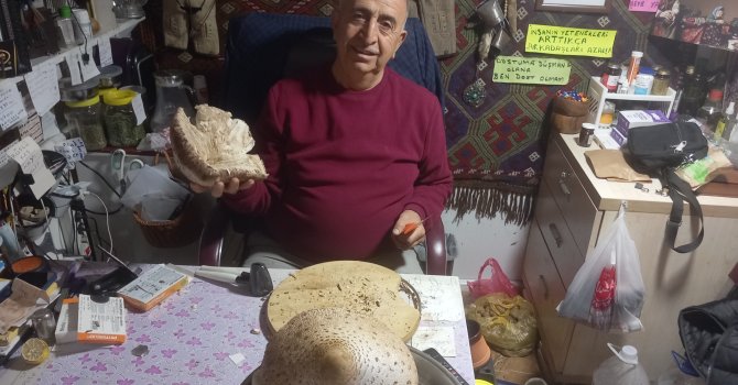 Seydişehir’de Dev Mantar Görenleri Şaşırttı...