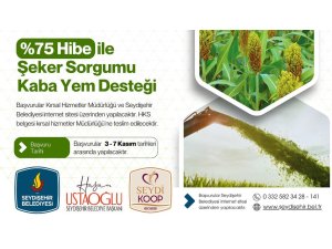 BELEDİYEDEN HİBE İLE ŞEKER SORGUMU KABA YEM DESTEĞİ