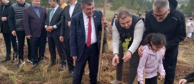 Milli Ağaçlandırma Bayramı’nda 1.500 Fidan Toprakla Buluştu